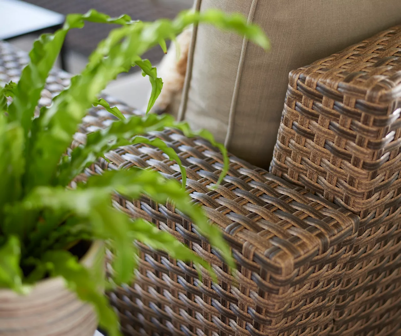 Broyhill Eagle Brooke All-Weather Wicker Swivel Cushioned Patio Glider 5 Broyhill Eagle Brooke All-Weather Wicker Swivel Cushioned Patio Glider - Image 5