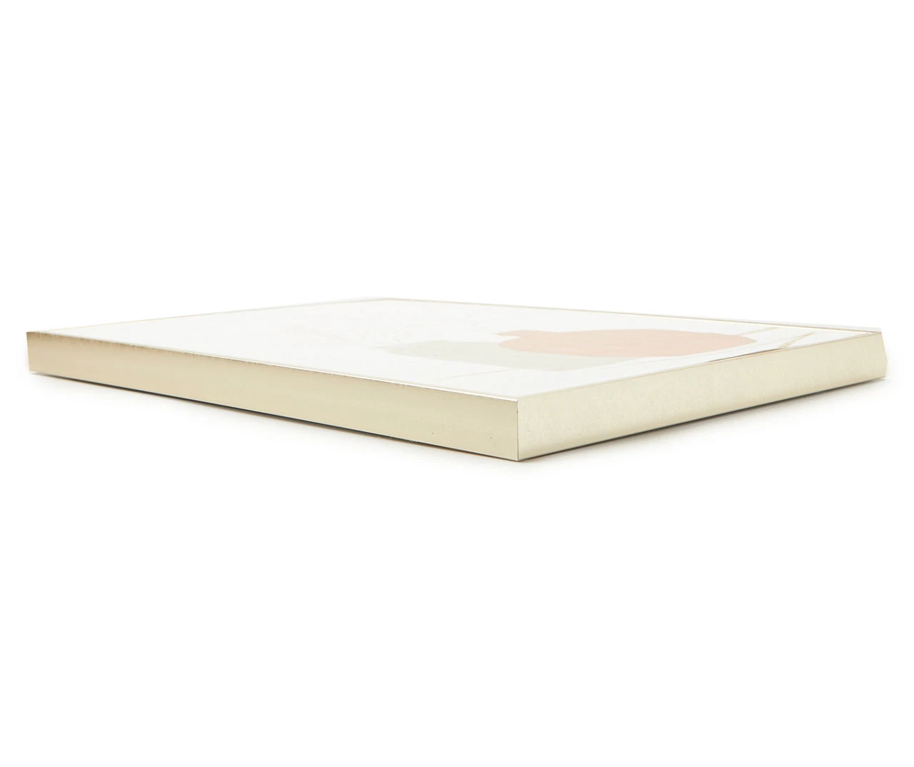 Pink & Gray Potted Plants Framed Canvas 2 Pink & Gray Potted Plants Framed Canvas - Image 2