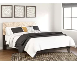 Piperton Black Queen Panel Headboard -Northlight Outlet Home Store 810591748 810591749 7