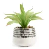 Artificial Succulent In Black Teardrop Pattern Ceramic Planter