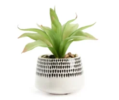 Artificial Succulent In Black Teardrop Pattern Ceramic Planter