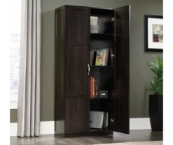 Sauder 2-Door Storage Cabinet -Northlight Outlet Home Store 810610207 A0 1