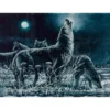 Blue & White Wolf Moon Howling Fleece Raschel Throw, (50" X 60")