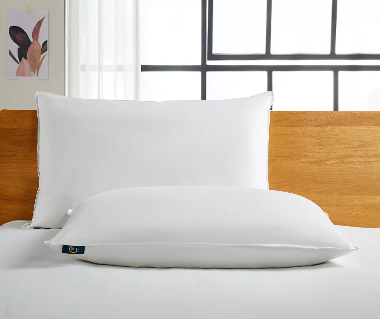 Serta White Medium-Firm Cotton-Down Pillow, 2-Pack 6 Serta White Medium-Firm Cotton-Down Pillow, 2-Pack - Image 6