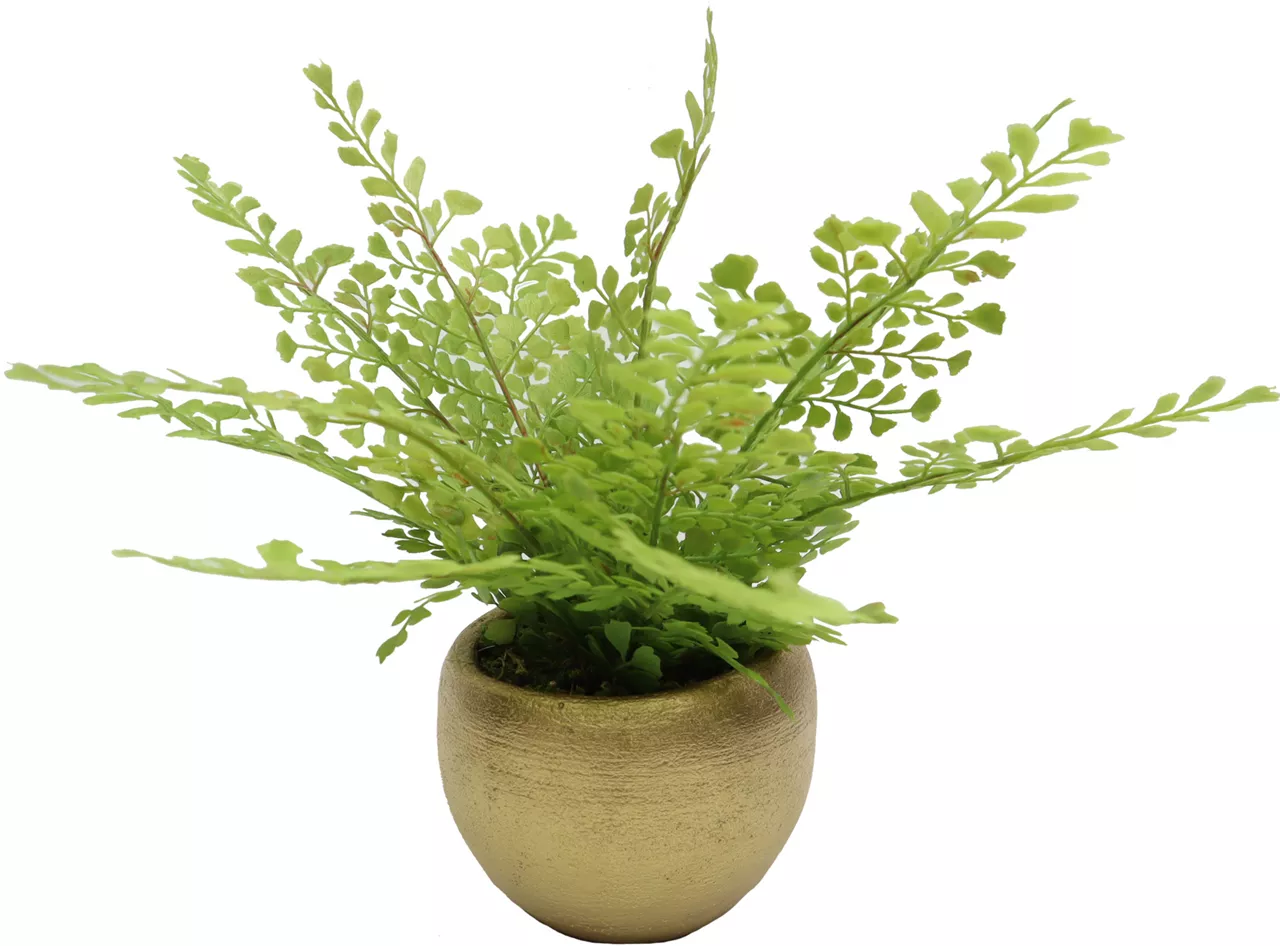 Homeward Artificial Greenery In Gold Cement Pot 1 Homeward Artificial Greenery In Gold Cement Pot